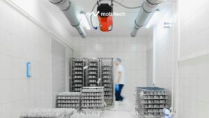 penyimpanan bahan makanan di cold storage